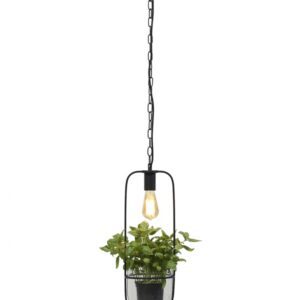 Florence PlantenHanglamp - Afbeelding 1