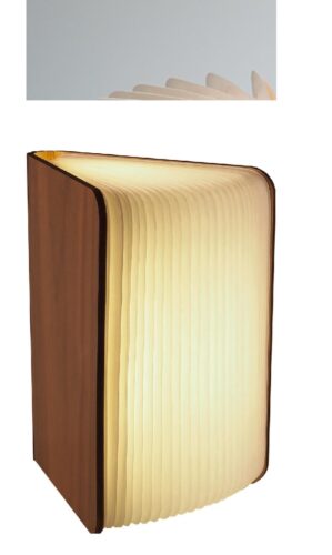 Boek lampje