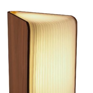Boek lampje - Afbeelding 3