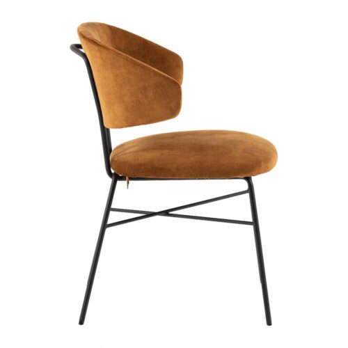 Toro
