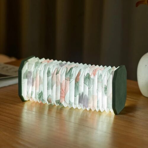 Accordeon lampje